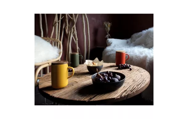 OGOLIVING Tisanière 47.5 cl Terracotta - Juliet avis moins cher