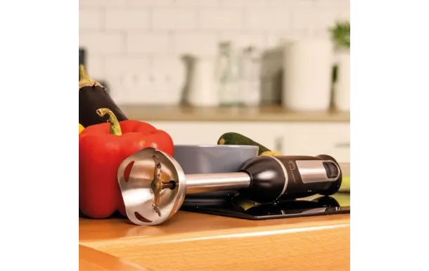  LITTLE BALANCE Mixeur plongeant - Speed Inox - 8459