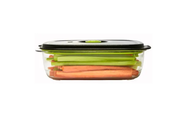 FOODSAVER Boîte 2.3 L - Fraîcheur & Marinade avis moins cher