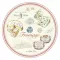 EASY LIFE PLATEAU FR 441FRMA