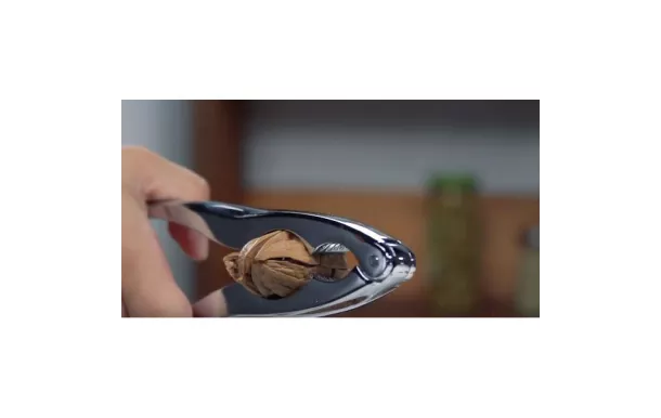 TESCOMA CASSE-NOIX " 428730