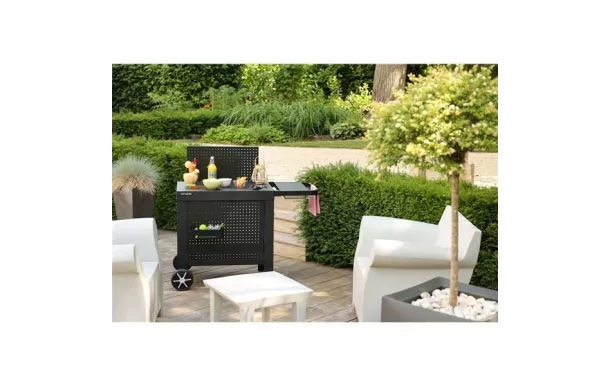 COOK IN GARDEN Plancha Chariot - WT052T