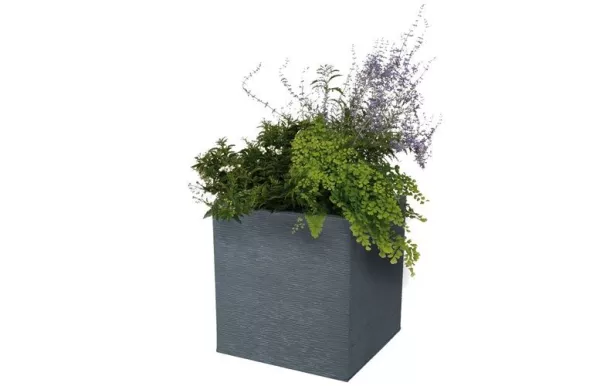 EDA POT CARRE GRAPHI 13733G.ANT