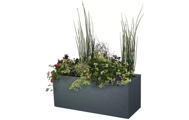 EDA JARDINIERE GRAPH 13734G.ANT