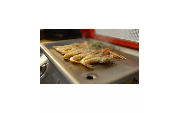 EUSKAL PLANTXA Plancha électrique avec hotte aspirante BAIGURAPICAR