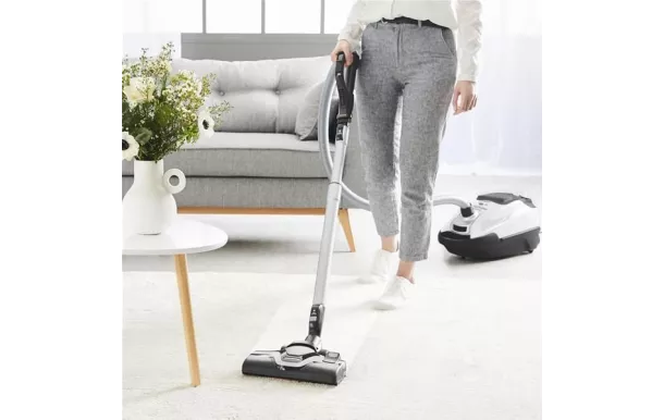 ROWENTA Aspirateur Traîneau avec sac - RO7457EA