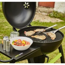 COOK IN GARDEN Barbecue 