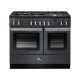 Cuisinière FALCON Professional + FX 100 ardoise - PROPL100FXDFSL/C-EU