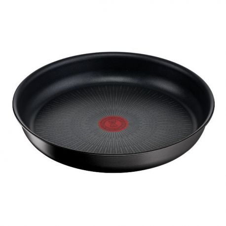 TEFAL Ingenio Eco Resist Poêle 22 cm L3970302