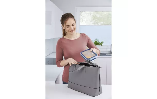 EMSA CLIP & CLOSE INOX Boîte de conservation recta N1150400