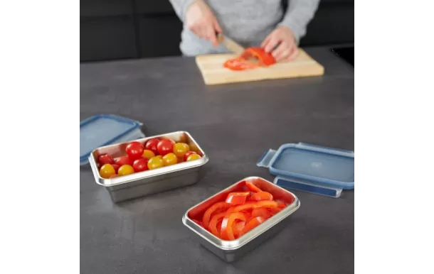 EMSA CLIP & CLOSE INOX Boîte de conservation recta N1150500