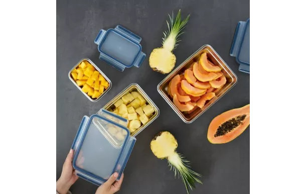 EMSA CLIP & CLOSE INOX Boîte de conservation recta N1150600