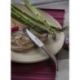 ARCOS Couteau à steak lame lisse 11 cm - Micarta