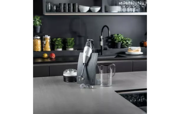 BAMIX mixeur M200 SwissLine argent avis moins cher