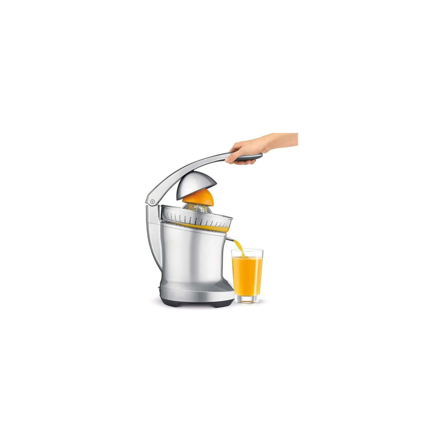 Presse agrumes the Citrus Press Pro