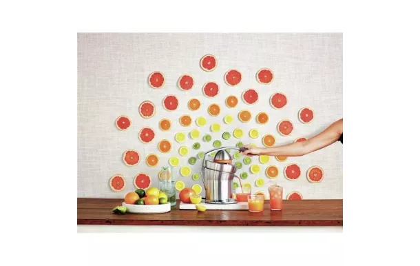 SAGE Presse-agrumes - Citrus Press Pro - SCP800BAL4EEU1 