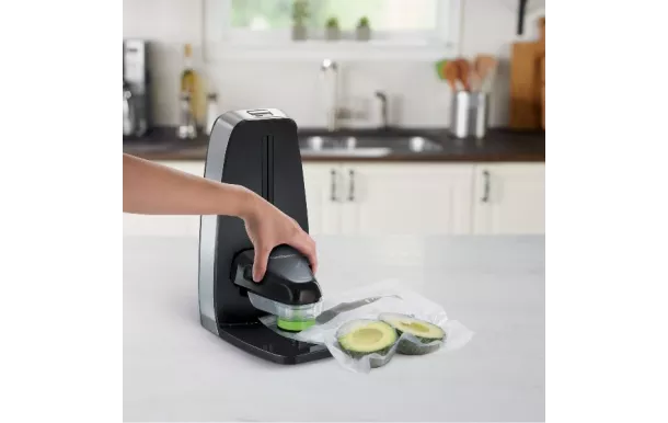 FOODSAVER Lot de 26 sacs 0.95 L avec fermeture zip à glissière avis moins cher