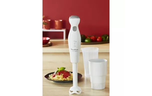 MOULINEX Mixeur + 4 accessoires - Robot Marie - DDG25110 avis moins cher