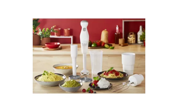 MOULINEX Mixeur + 4 accessoires - Robot Marie - DDG25110 avis moins cher