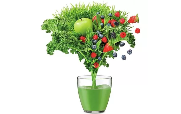 SAGE Extracteur de jus - The NutriJuicer Cold - SJE430SIL2CEU1 