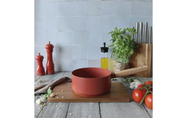 OGOLIVING ECTOR CASSEROLE 16CM PAPRIKA MANCHE BOIS 7930280