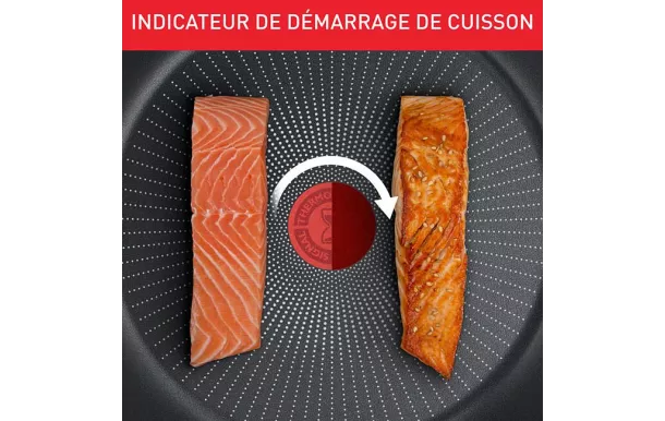 TEFAL DAILY EXPERT SAUTEUSE 24CM ROUGE C2893202