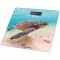 LITTLE BALANCE PESE PERSONNE TORTUE USB-R 180KG 10 8653