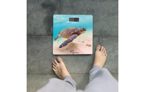 LITTLE BALANCE PESE PERSONNE TORTUE USB-R 180KG 10 8653