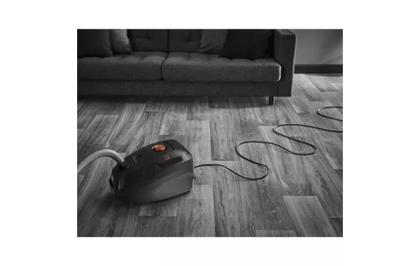ROWENTA Aspirateur Traîneau avec sac - RO6164EA