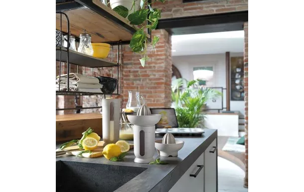 BLIM PLUS UFO PRESSE AGRUMES GRIS AVEC RECIPIENT SM004-000001-319