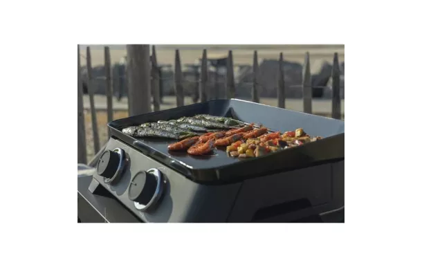 COOK IN GARDEN Plancha Gaz dune PG092